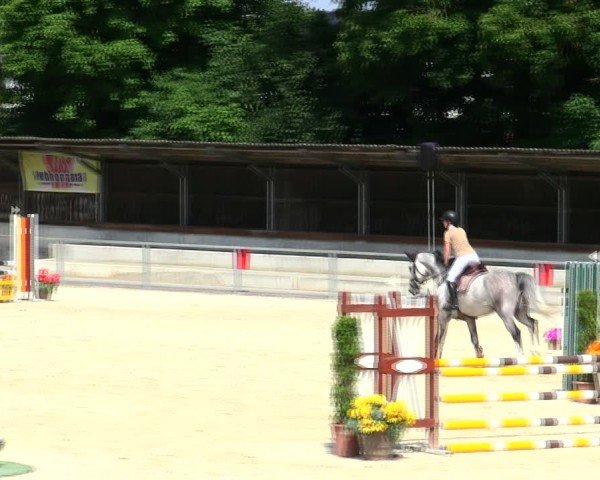 Reitturnier Ingolstadt-Hagau/Obb. 2025