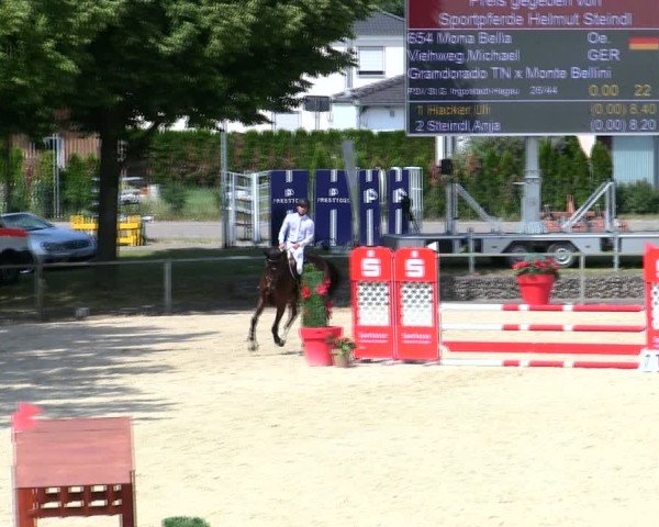 Reitturnier Ingolstadt-Hagau/Obb. 2025