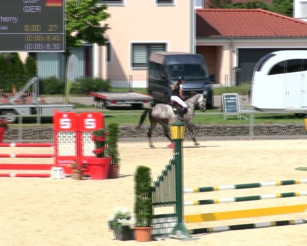 Reitturnier Ingolstadt-Hagau/Obb. 2025
