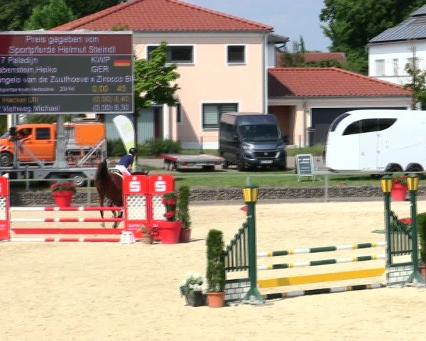 Reitturnier Ingolstadt-Hagau/Obb. 2025