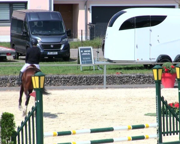 Reitturnier Ingolstadt-Hagau/Obb. 2025