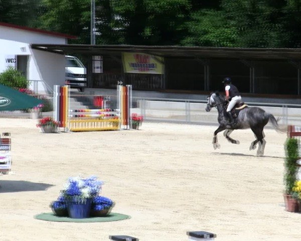 Reitturnier Ingolstadt-Hagau/Obb. 2025