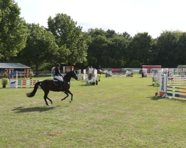 Reitturnier Wohlesbostel 2025