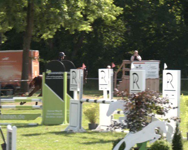 Reitturnier Wohlesbostel 2025