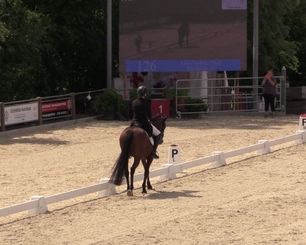 Reitturnier Uder, Reitanlage Kobold 2025