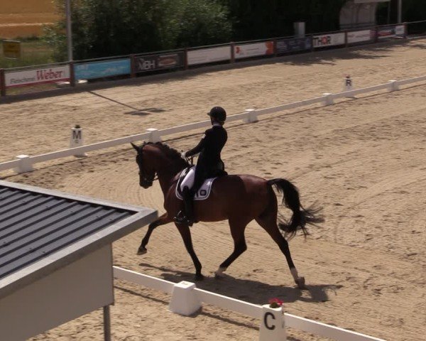 Reitturnier Uder, Reitanlage Kobold 2025