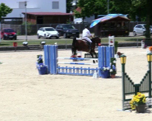 Reitturnier Ingolstadt-Hagau/Obb. 2025