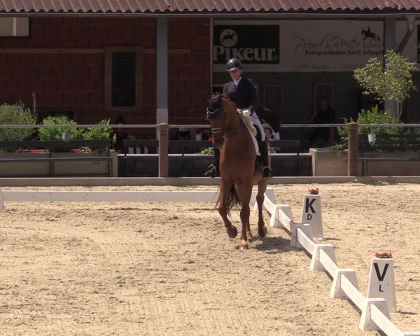 Reitturnier Uder, Reitanlage Kobold 2025
