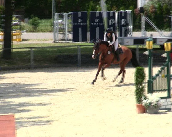Reitturnier Ingolstadt-Hagau/Obb. 2025