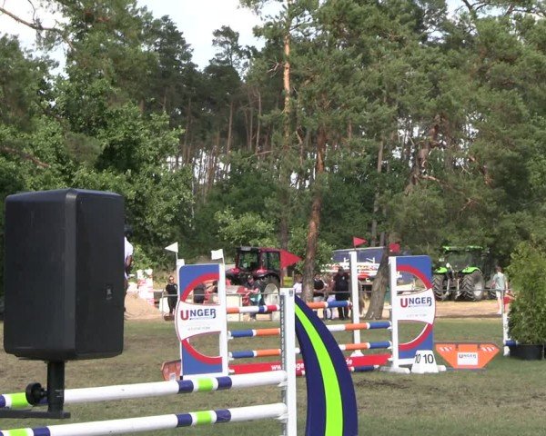 Reitturnier Niederwerbig 2025