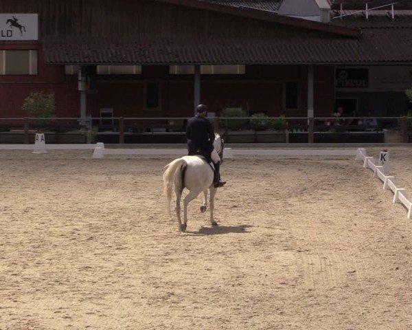 Reitturnier Uder, Reitanlage Kobold 2025