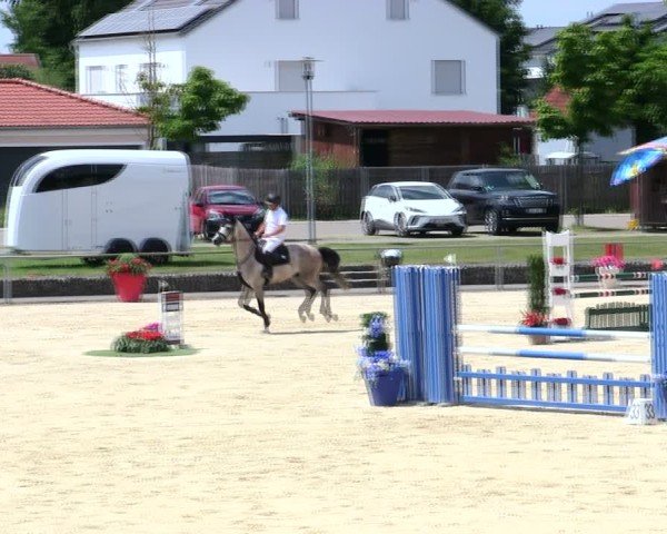 Reitturnier Ingolstadt-Hagau/Obb. 2025