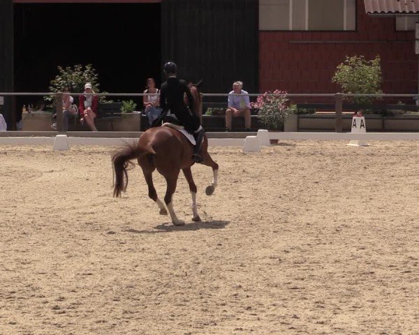 Reitturnier Uder, Reitanlage Kobold 2025