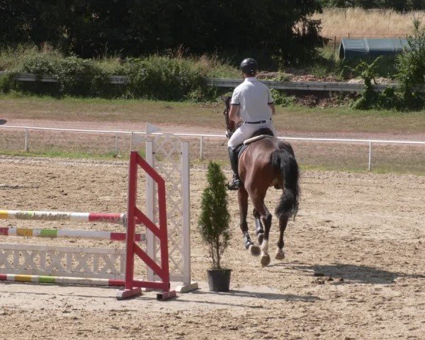 Reitturnier Heiligenwald 2025