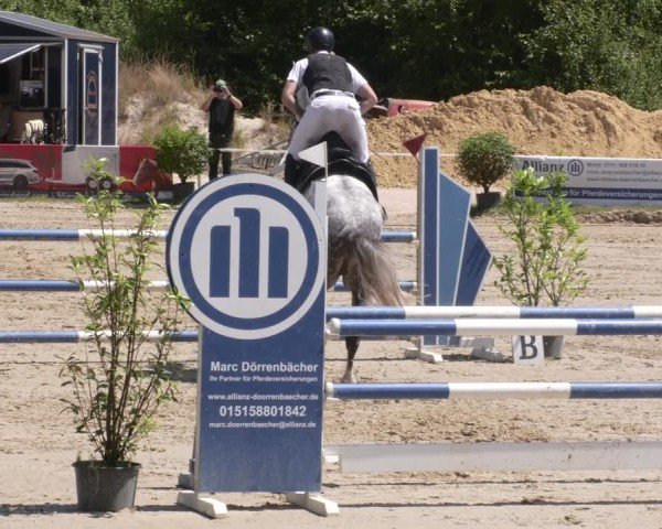 Reitturnier Heiligenwald 2025