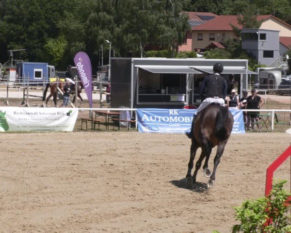 Reitturnier Heiligenwald 2025