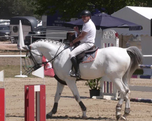 Reitturnier Heiligenwald 2025
