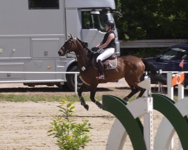 Reitturnier Heiligenwald 2025
