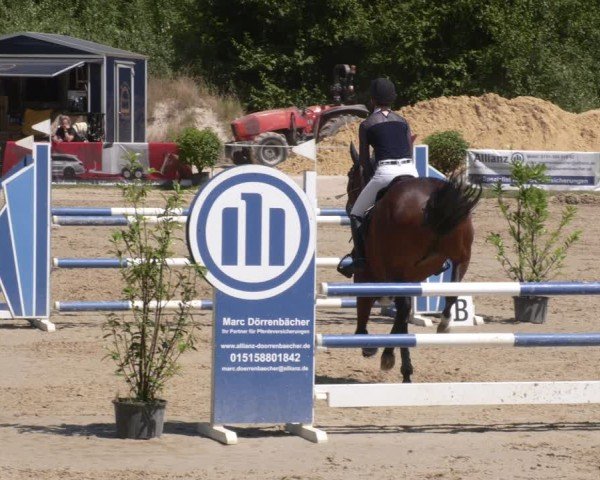 Reitturnier Heiligenwald 2025