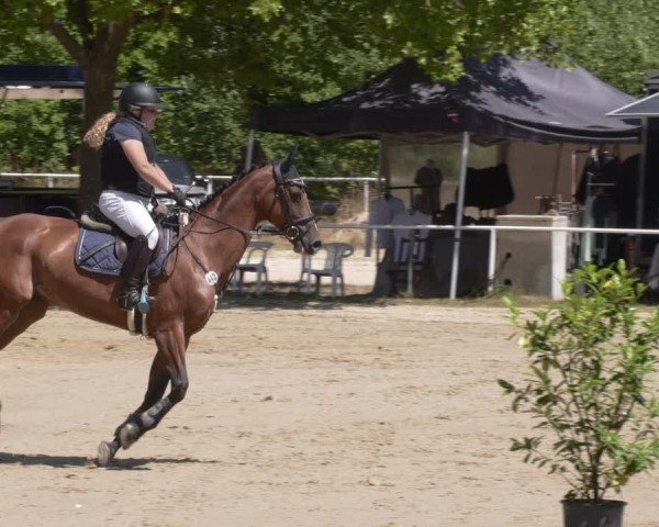 Reitturnier Heiligenwald 2025
