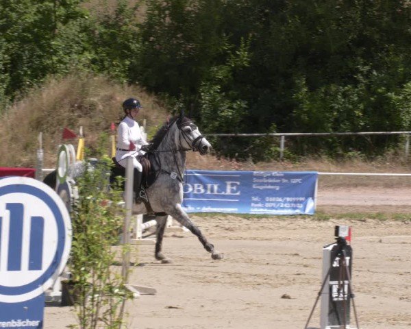 Reitturnier Heiligenwald 2025