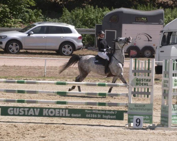 Reitturnier Heiligenwald 2025