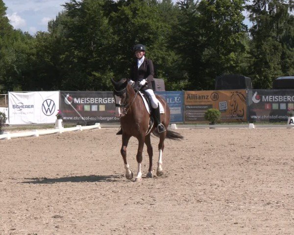 Reitturnier Heiligenwald 2025