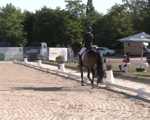 Reitturnier Heiligenwald 2025