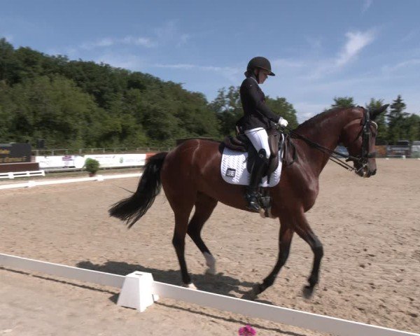 Reitturnier Heiligenwald 2025