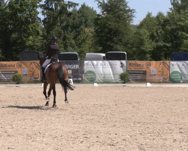 Reitturnier Heiligenwald 2025