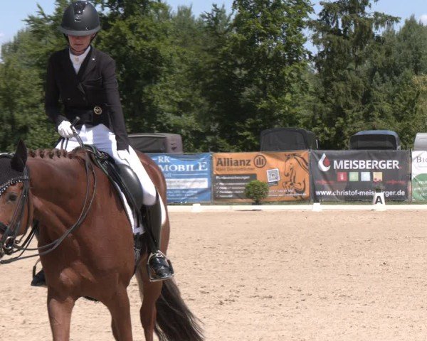 Reitturnier Heiligenwald 2025