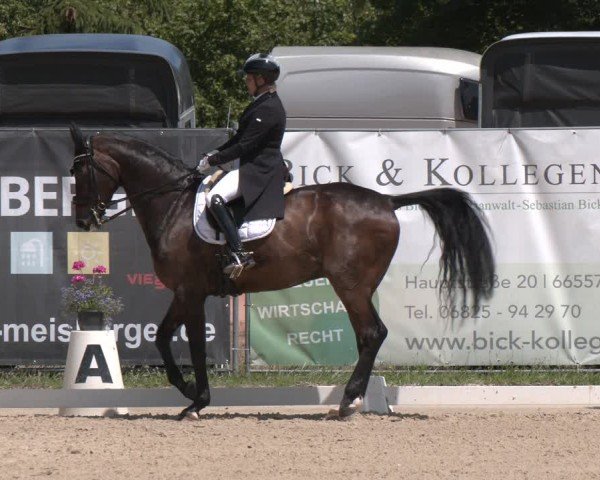 Reitturnier Heiligenwald 2025