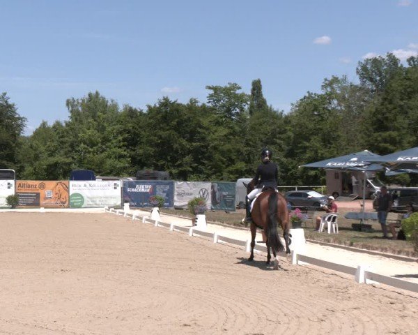 Reitturnier Heiligenwald 2025