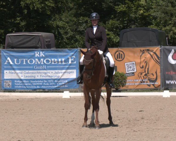 Reitturnier Heiligenwald 2025