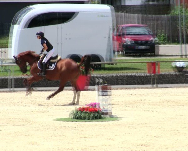 Reitturnier Ingolstadt-Hagau/Obb. 2025