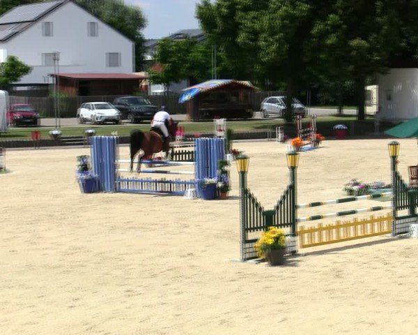 Reitturnier Ingolstadt-Hagau/Obb. 2025