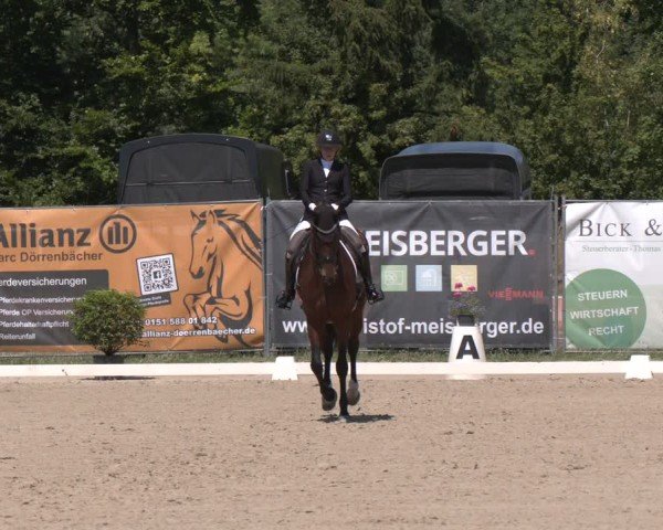 Reitturnier Heiligenwald 2025
