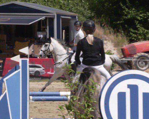 Reitturnier Heiligenwald 2025