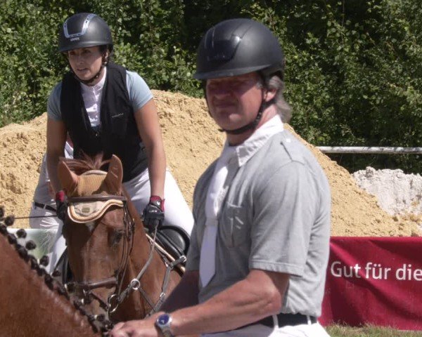 Reitturnier Heiligenwald 2025