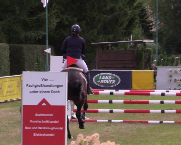 Reitturnier Dersekow 2025