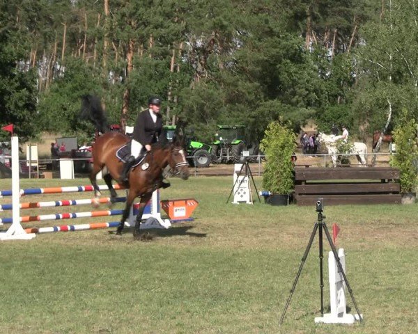 Reitturnier Niederwerbig 2025