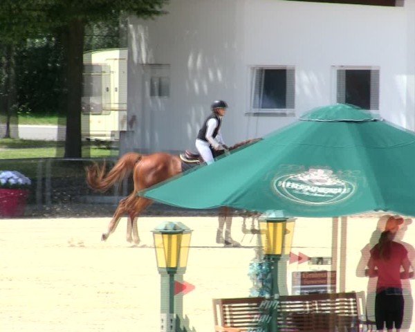 Reitturnier Ingolstadt-Hagau/Obb. 2025