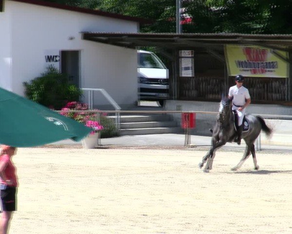Reitturnier Ingolstadt-Hagau/Obb. 2025