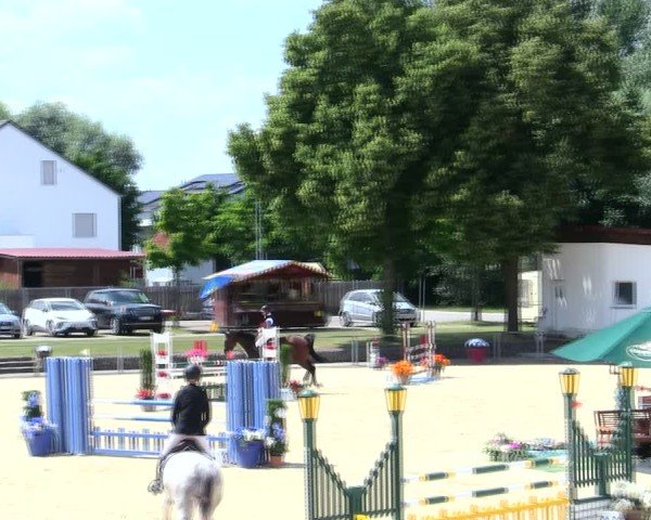 Reitturnier Ingolstadt-Hagau/Obb. 2025