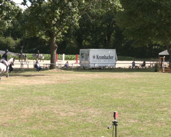 Reitturnier Wohlesbostel 2025