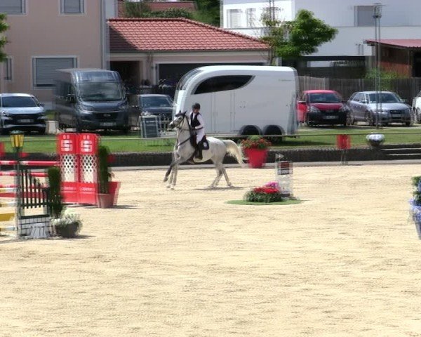 Reitturnier Ingolstadt-Hagau/Obb. 2025