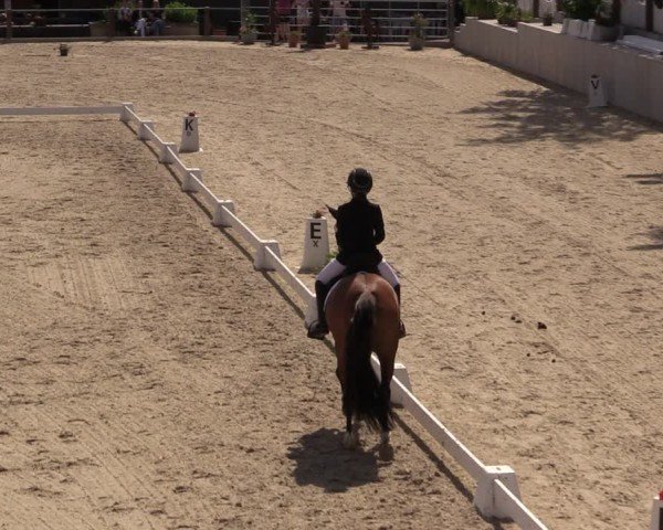 Reitturnier Uder, Reitanlage Kobold 2025