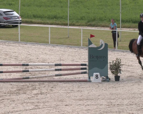 Springturnier Seewalchen 2025