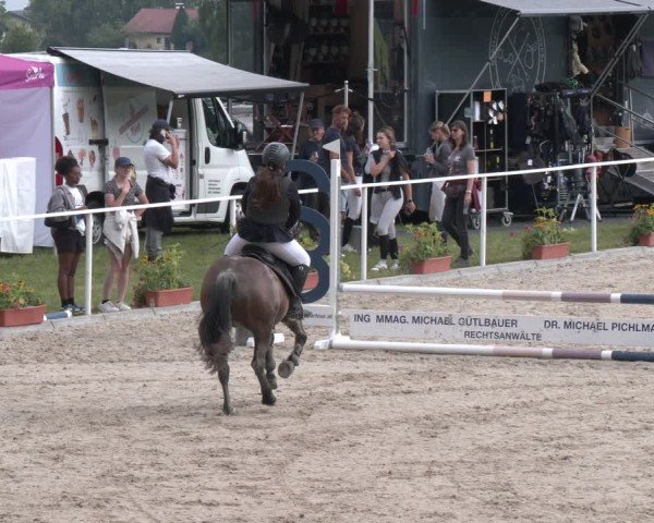 Springturnier Seewalchen 2025