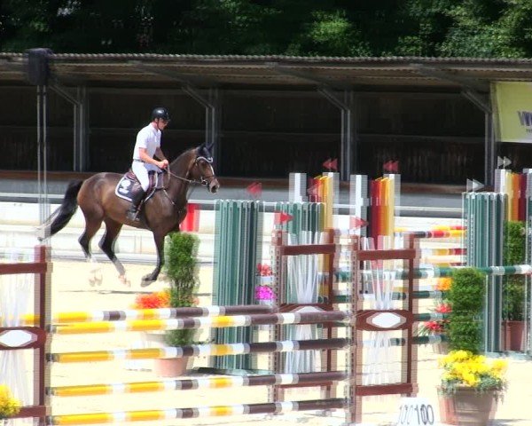 Reitturnier Ingolstadt-Hagau/Obb. 2025